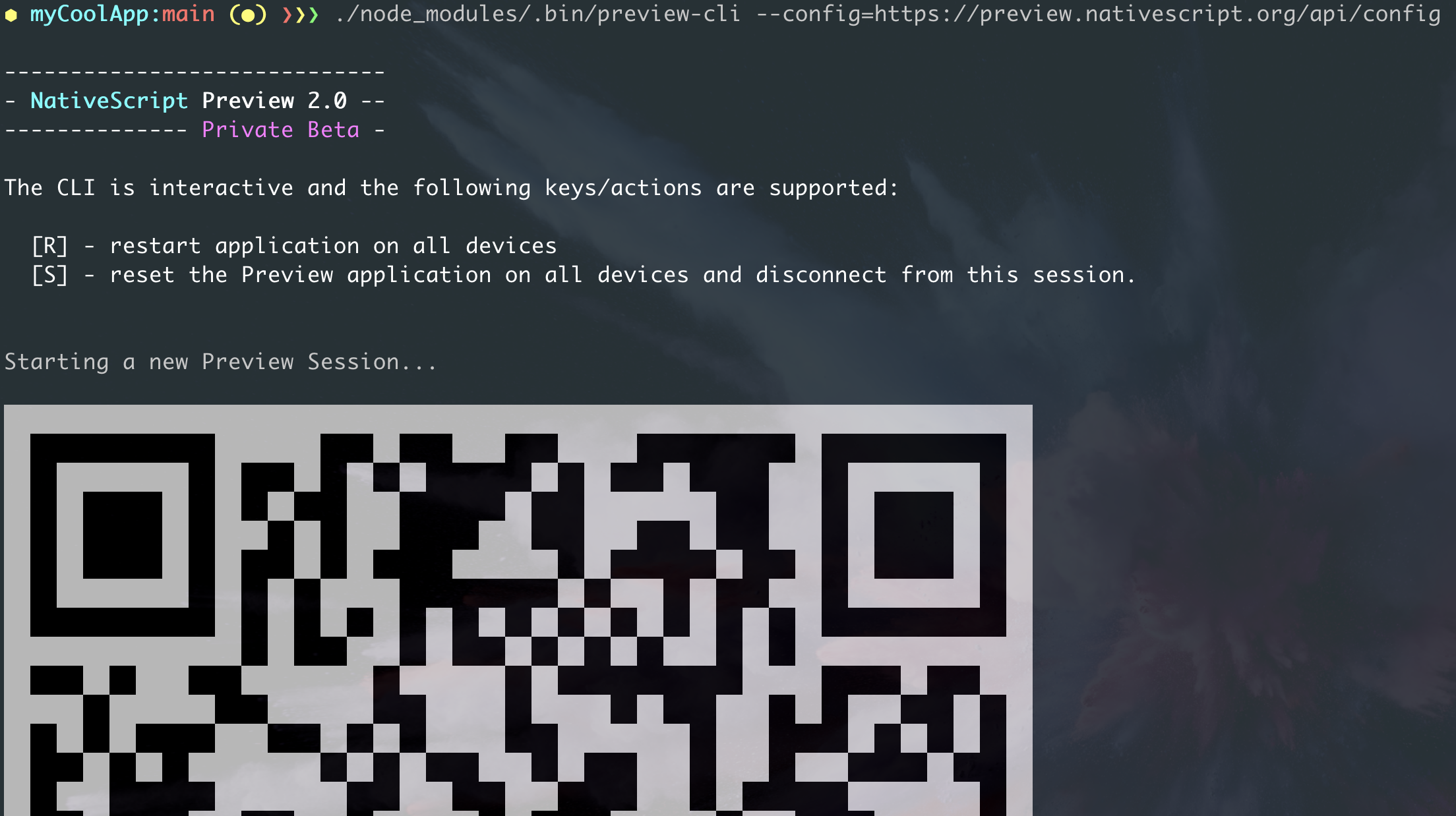 Preview CLI printing a QR code